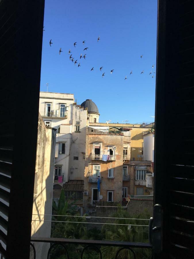 Le Rondini Della Pietrasanta Apartment