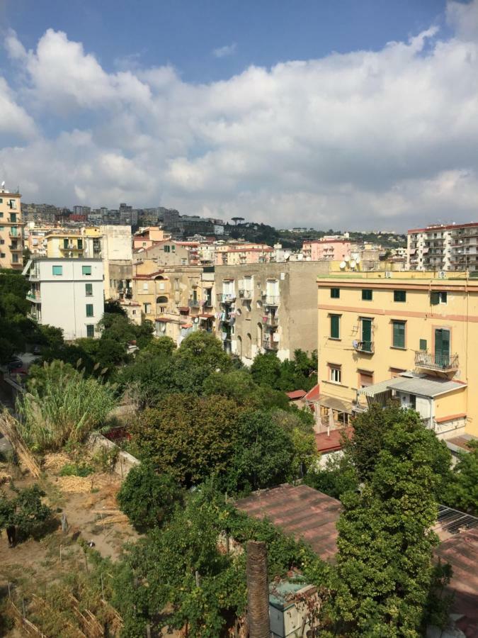 Panoramica