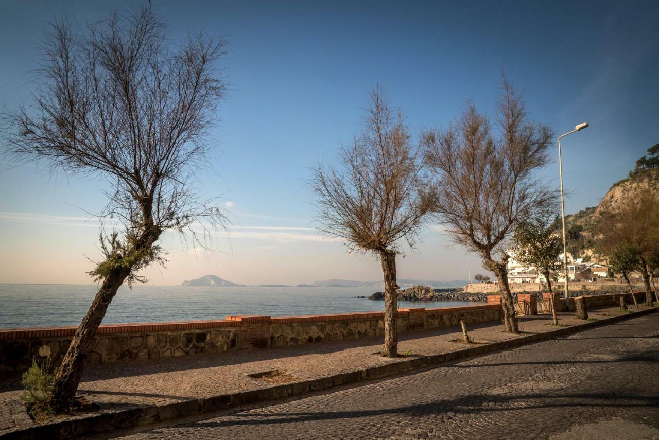 Accasarte P01 Naples