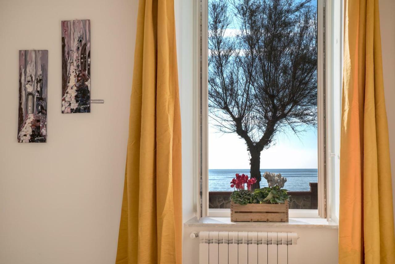 Apartment Accasarte P01