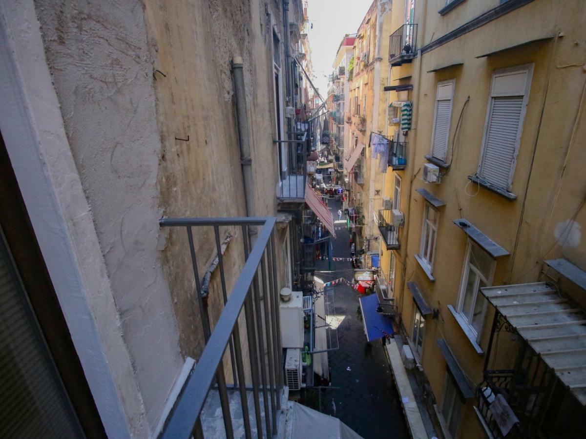 Pisadog Naples