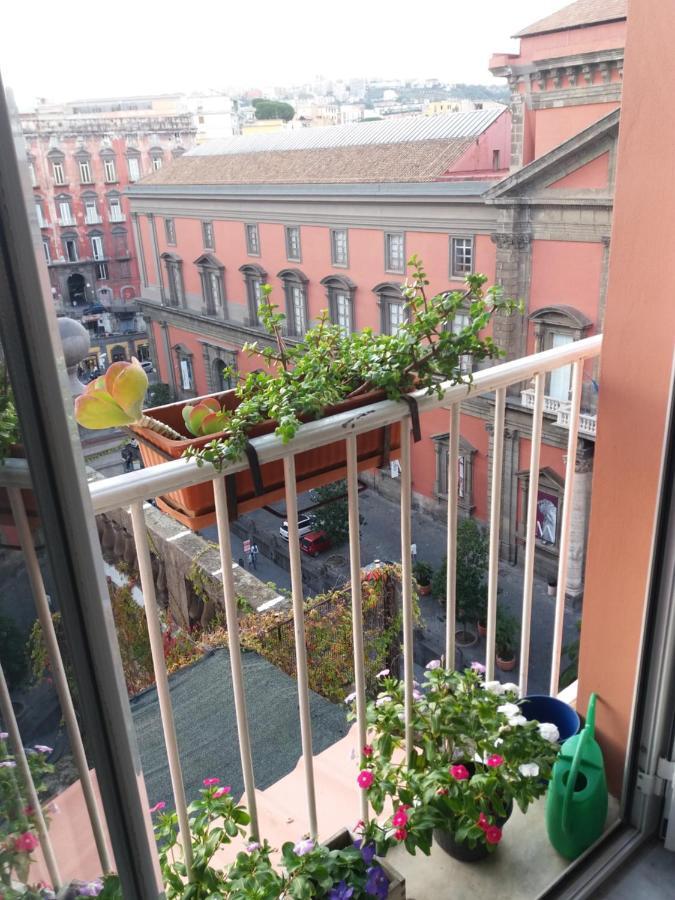 Museum Naples