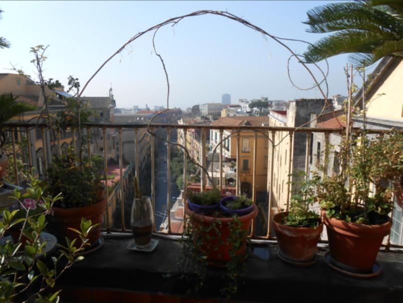Apartment Sulle Tracce Di Sofia Loren Naples