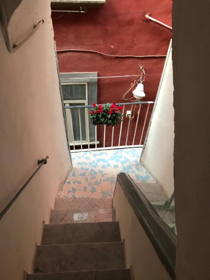 Cisterna's House Guest house *