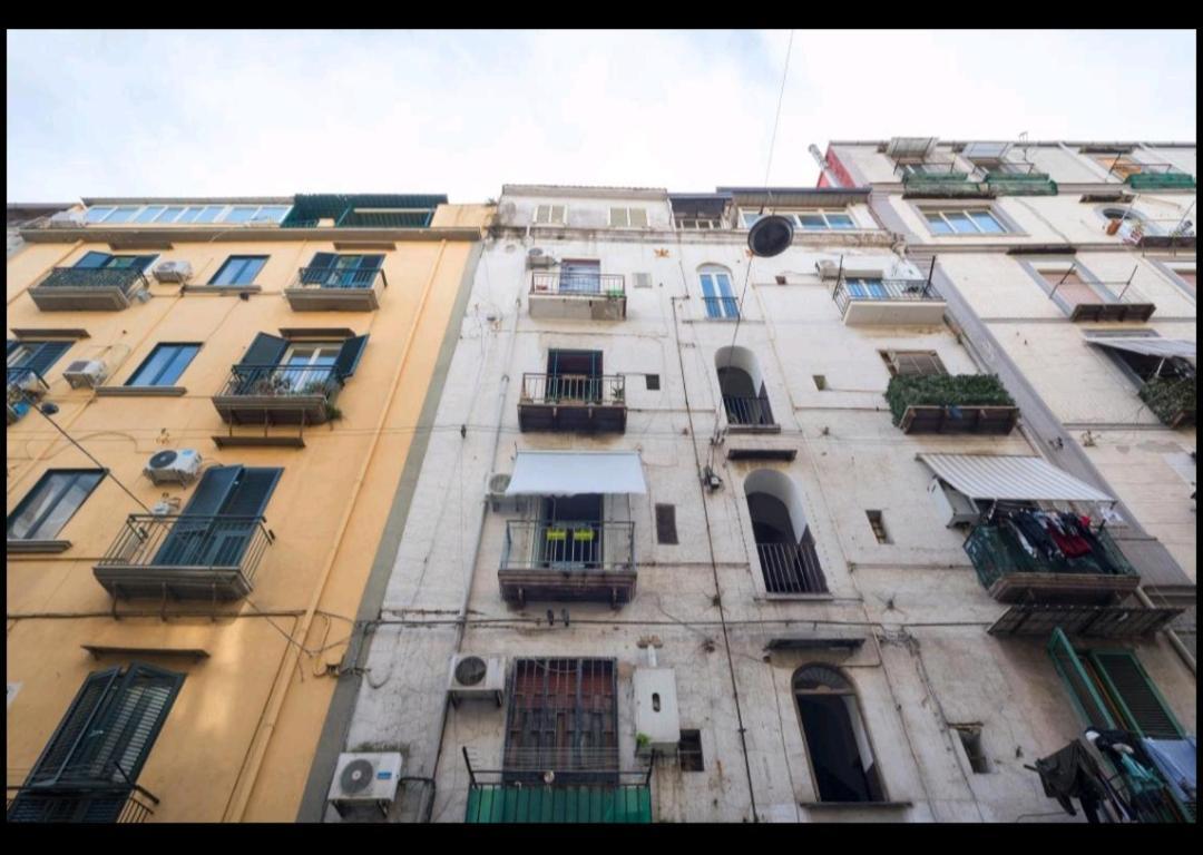 Flower Power Apartment