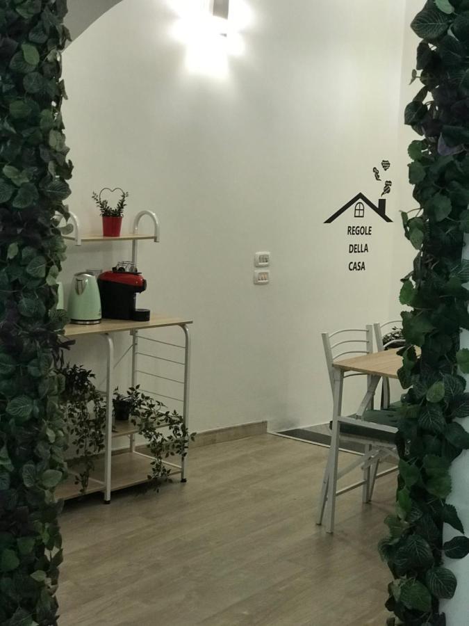 Urban Jungle Rooms Naples