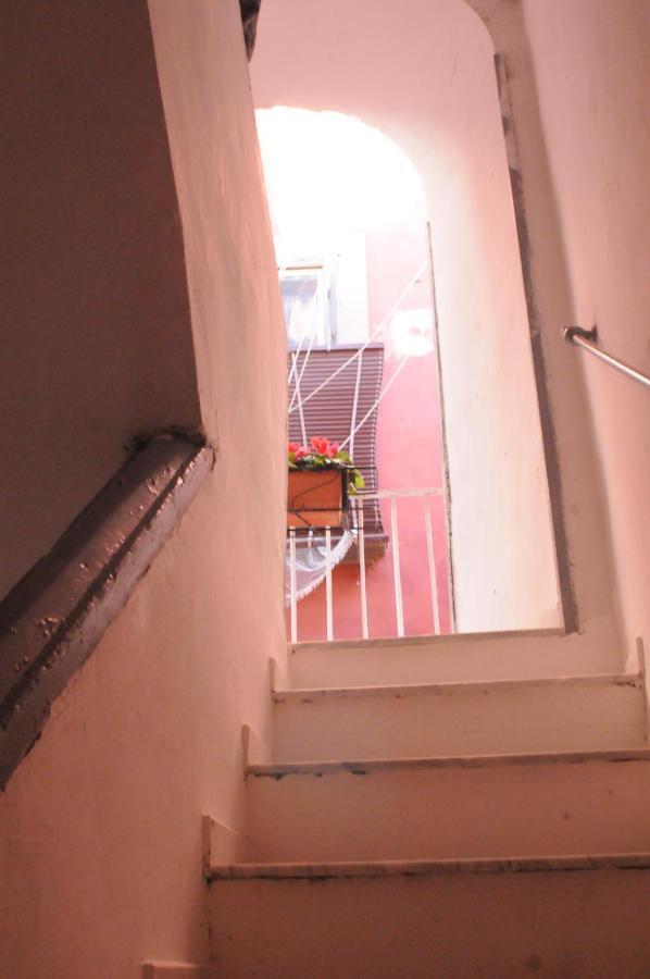 Cisterna's House