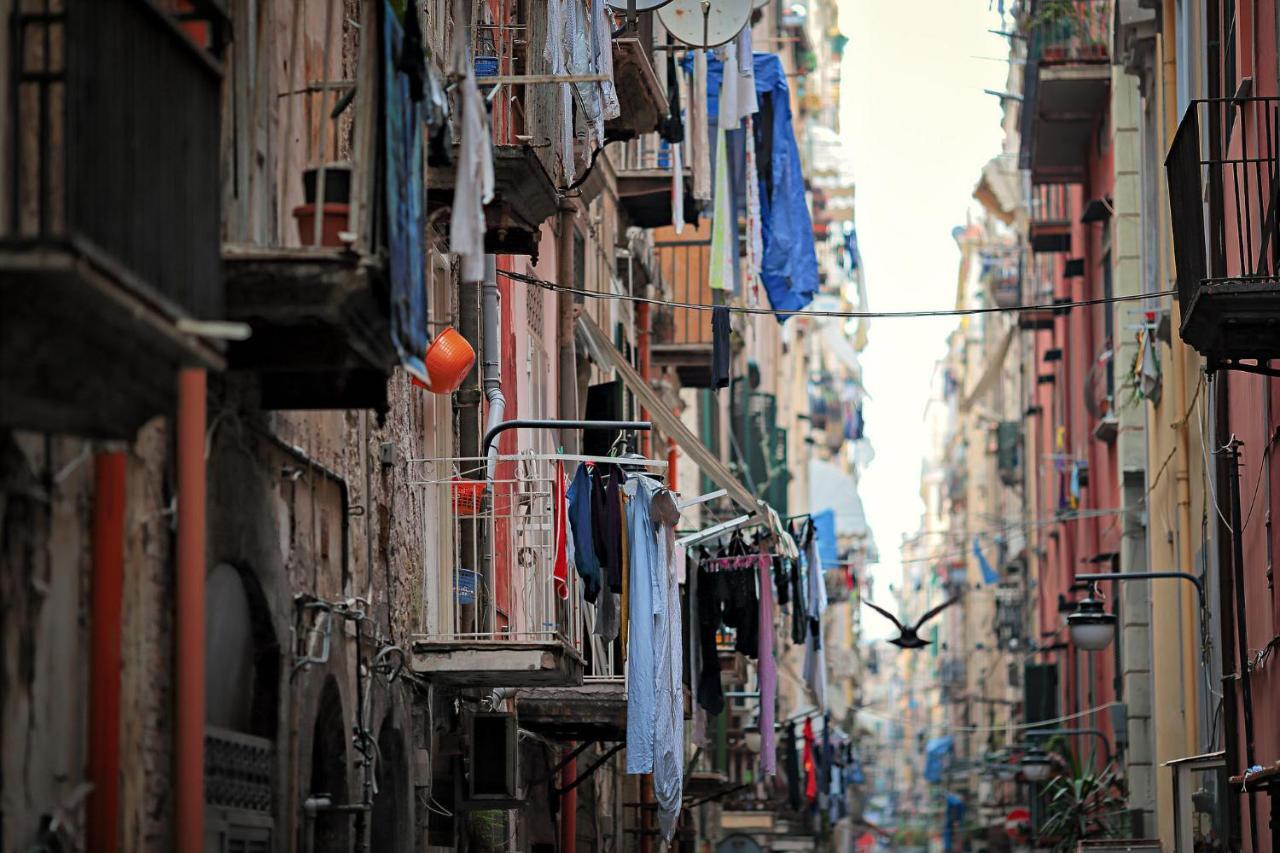About Toledo Apartment *