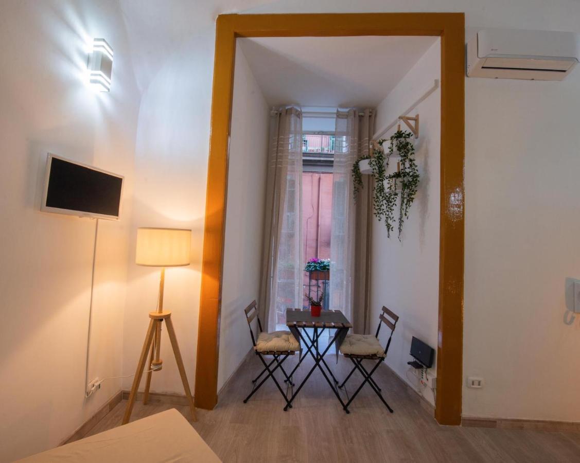 Urban Jungle Rooms *