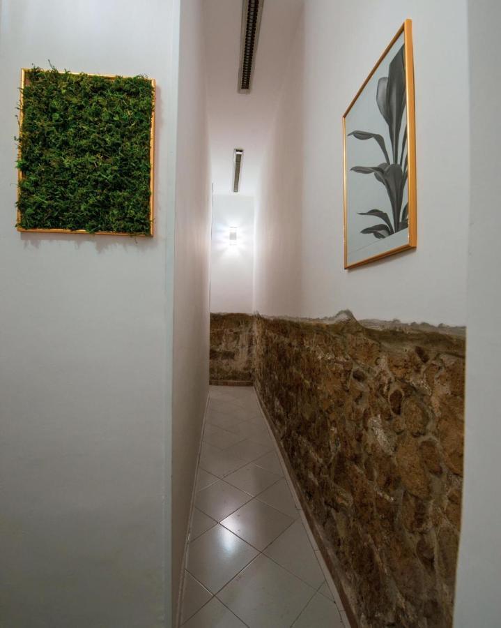 Urban Jungle Rooms *