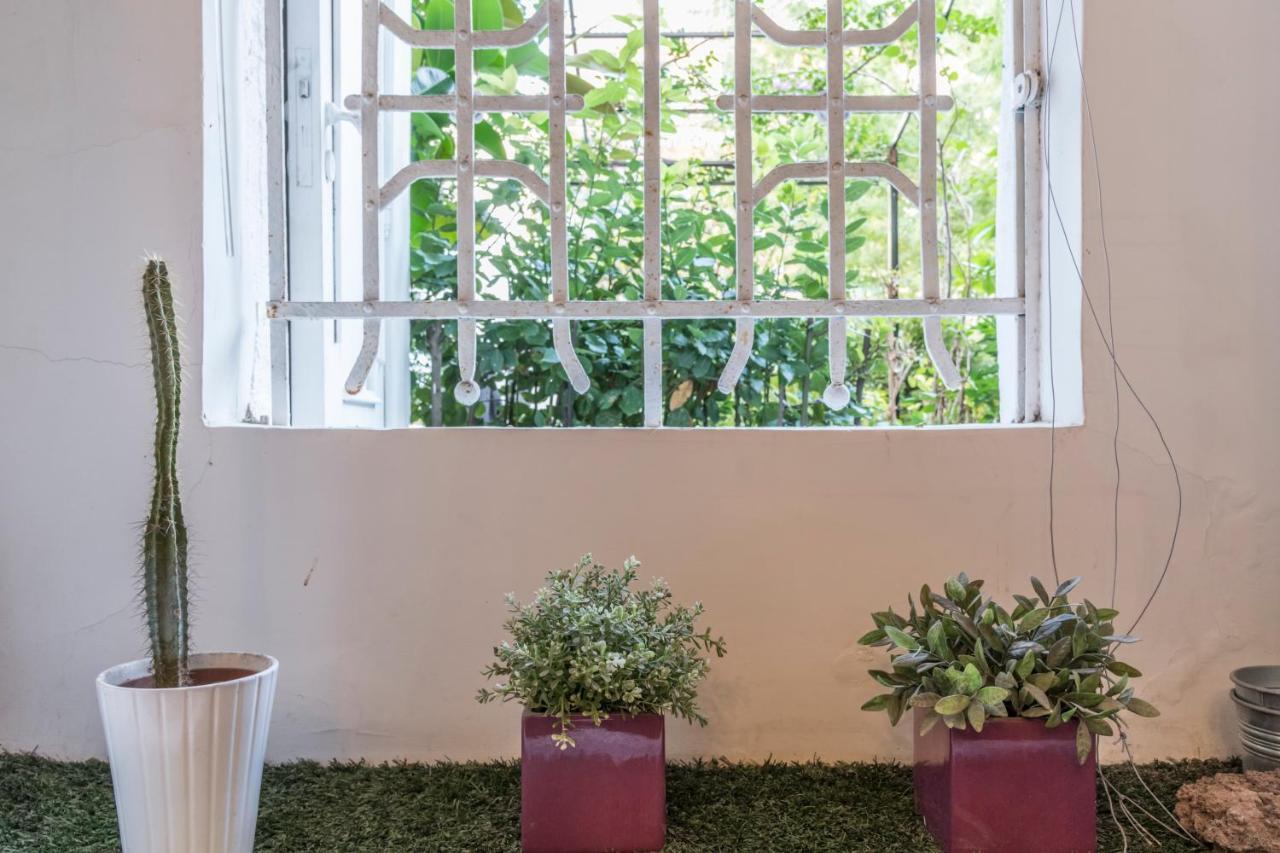 Loft Mediterraneo Naples
