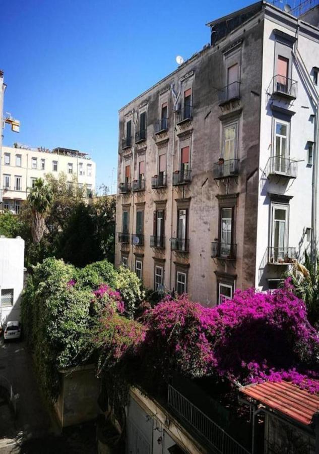 Domus Luigi Leone Ii Bed & Breakfast
