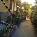 Home To Fly