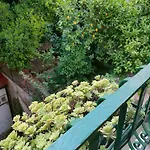 A Casa Di Freddie