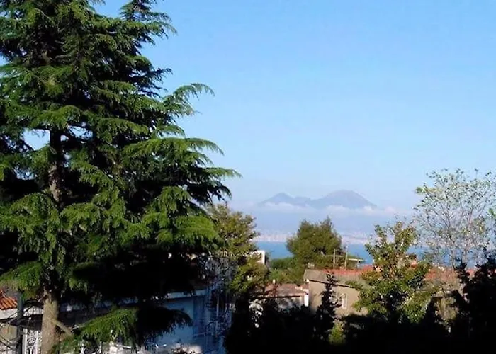 Le Rondini