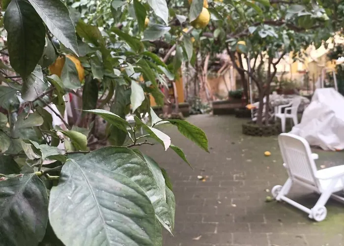 Il Giardino Nascosto