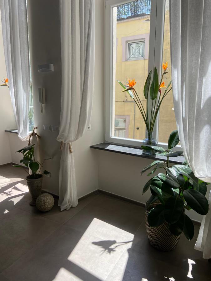 Bed & Breakfast Coreammare