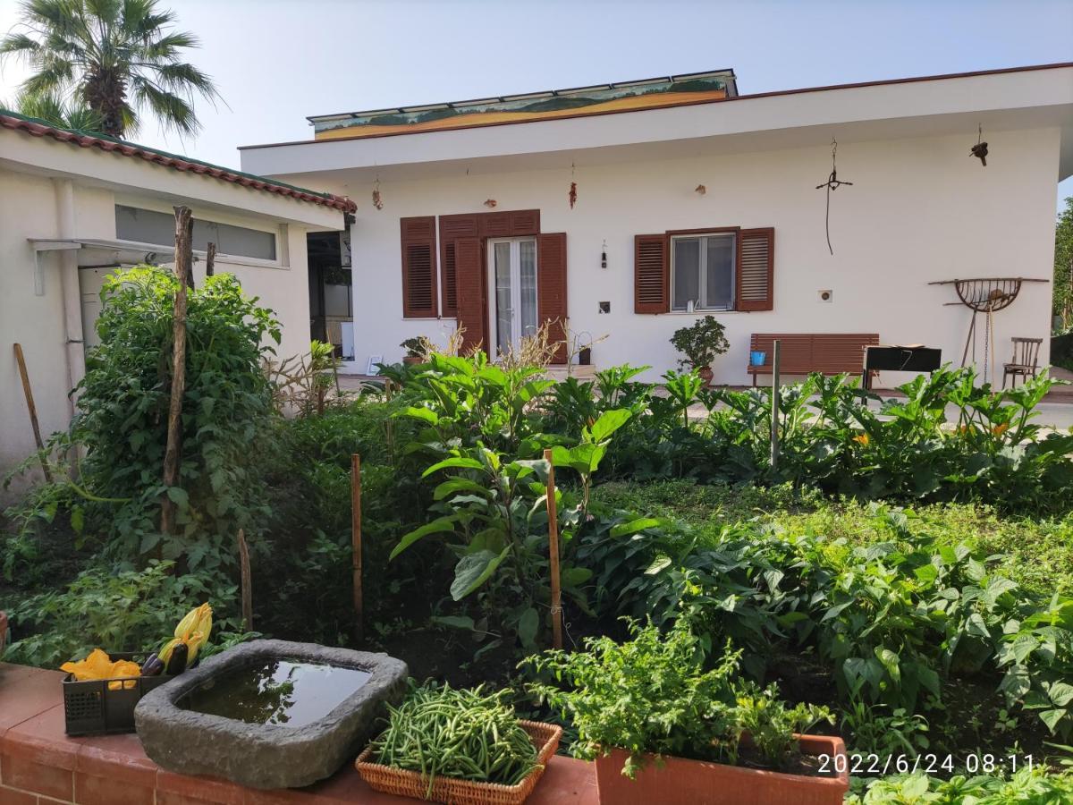 Antoniet Bed & Breakfast