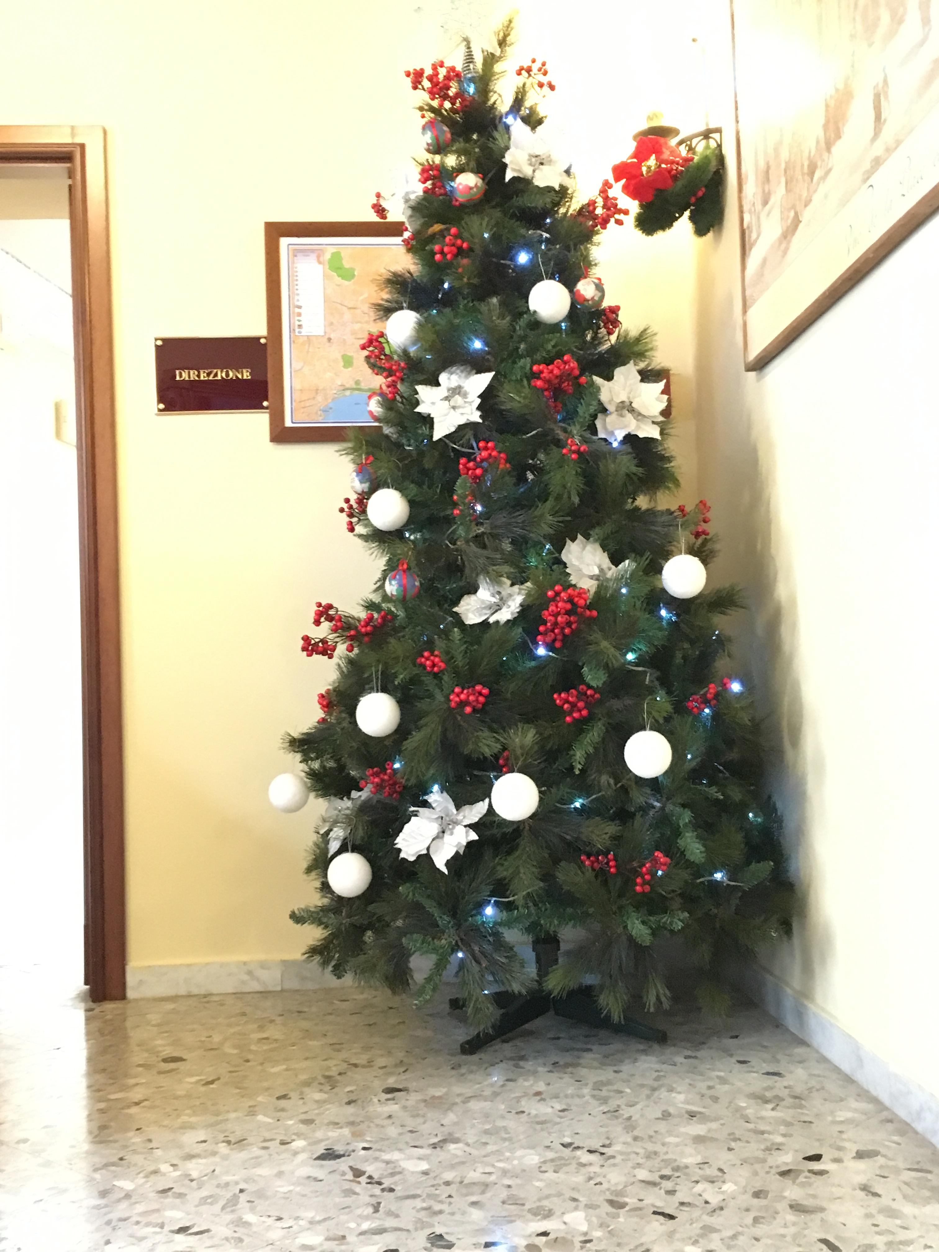 Margherita Hotel