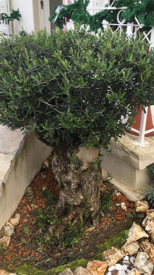 Bed & Breakfast Il Casale Di Gio *
