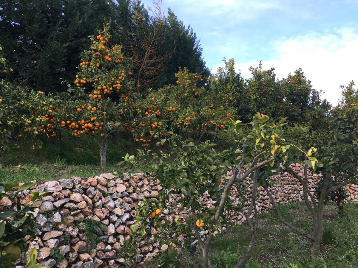 La Tenuta Michele Bed & Breakfast *