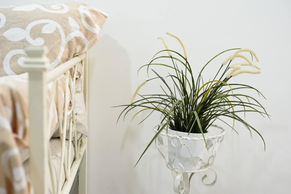 Apartment A Due Passi Da Toledo