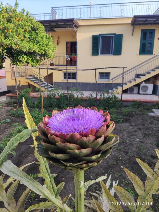 Bed & Breakfast Antoniet Naples