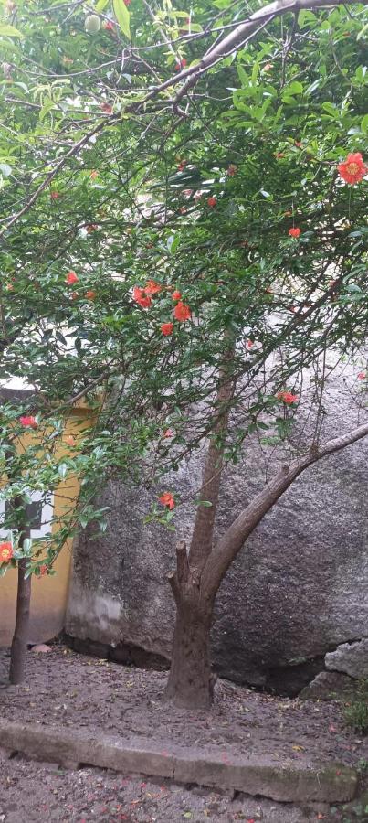Il Giardino Nascosto Naples