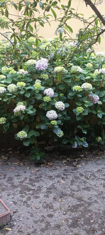 Il Giardino Nascosto
