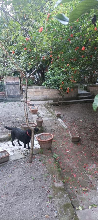 Il Giardino Nascosto Naples