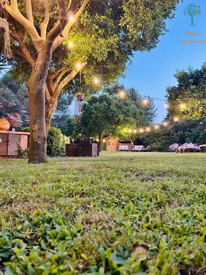 Guest house Capodimonte