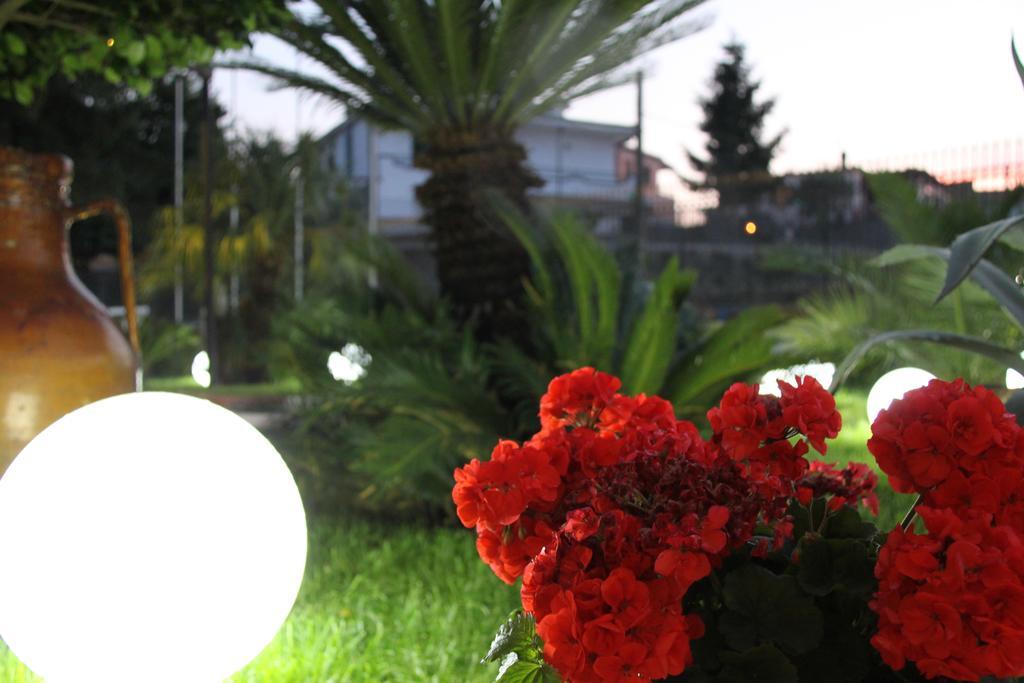 Hotel Ranch Palace 4*