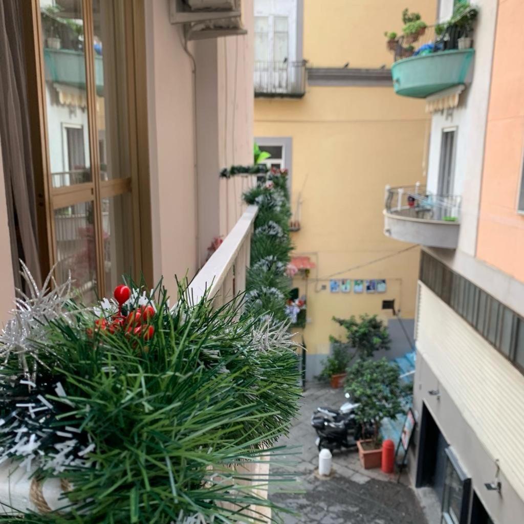 Crystal * Naples