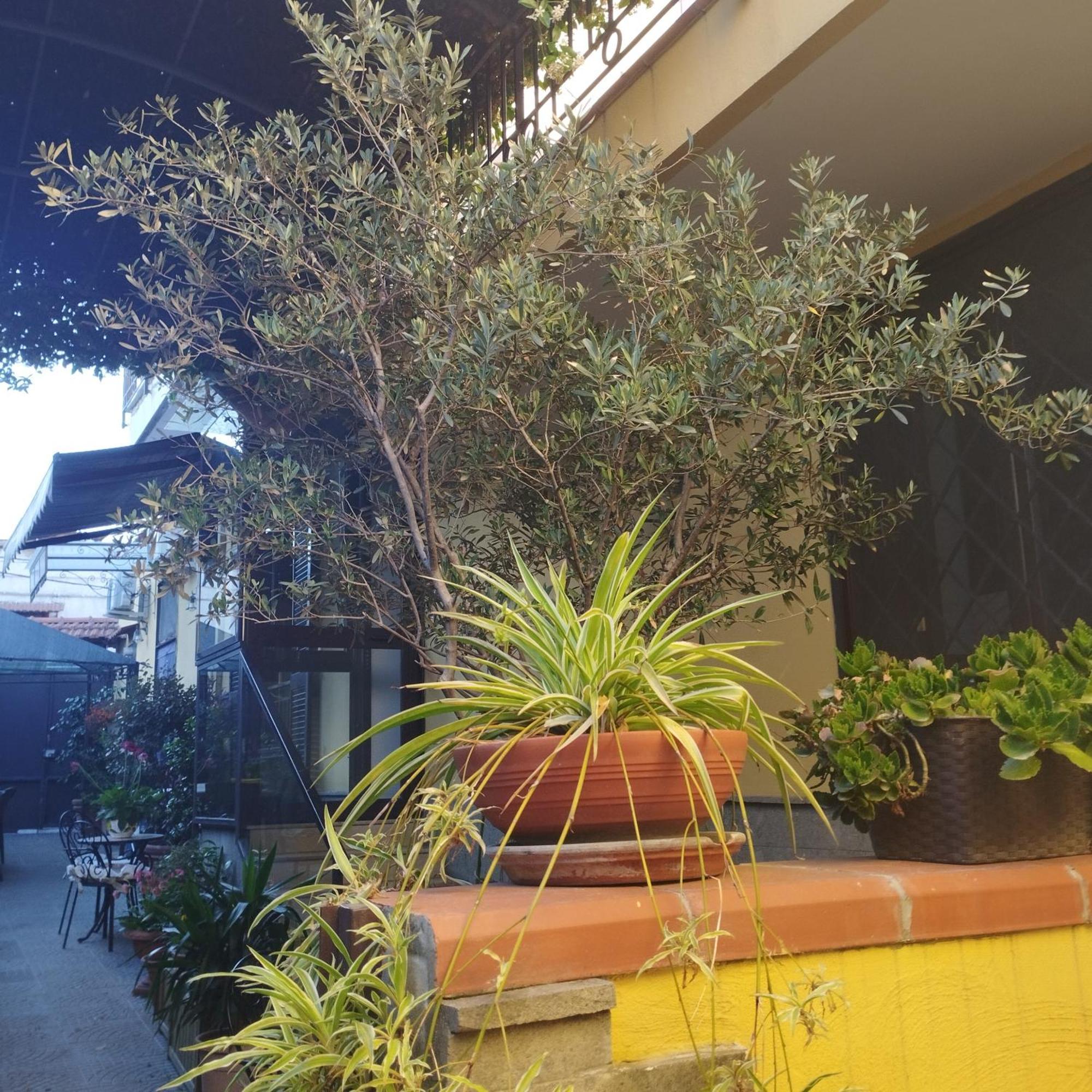 Guest house To Fly Naples