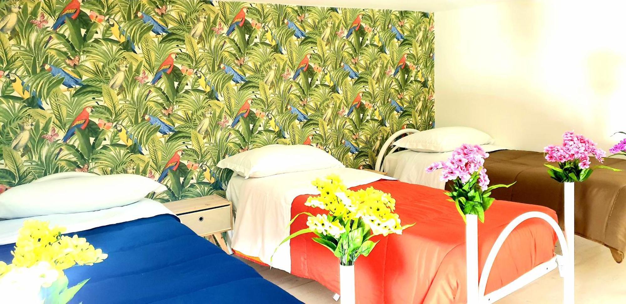 Bed & Breakfast Citta