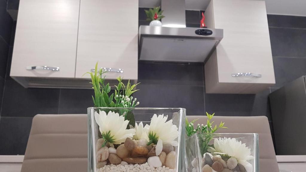 Apartment Da Ninetta Resterete Senza Parole, Garantito!