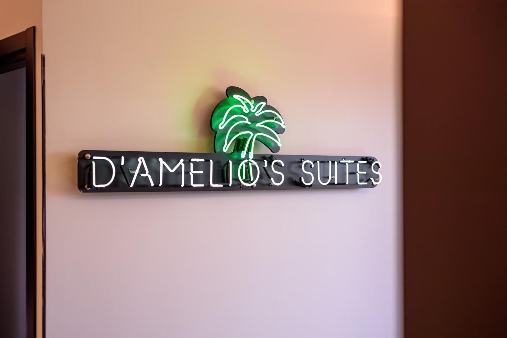 D'amelios 2.0
