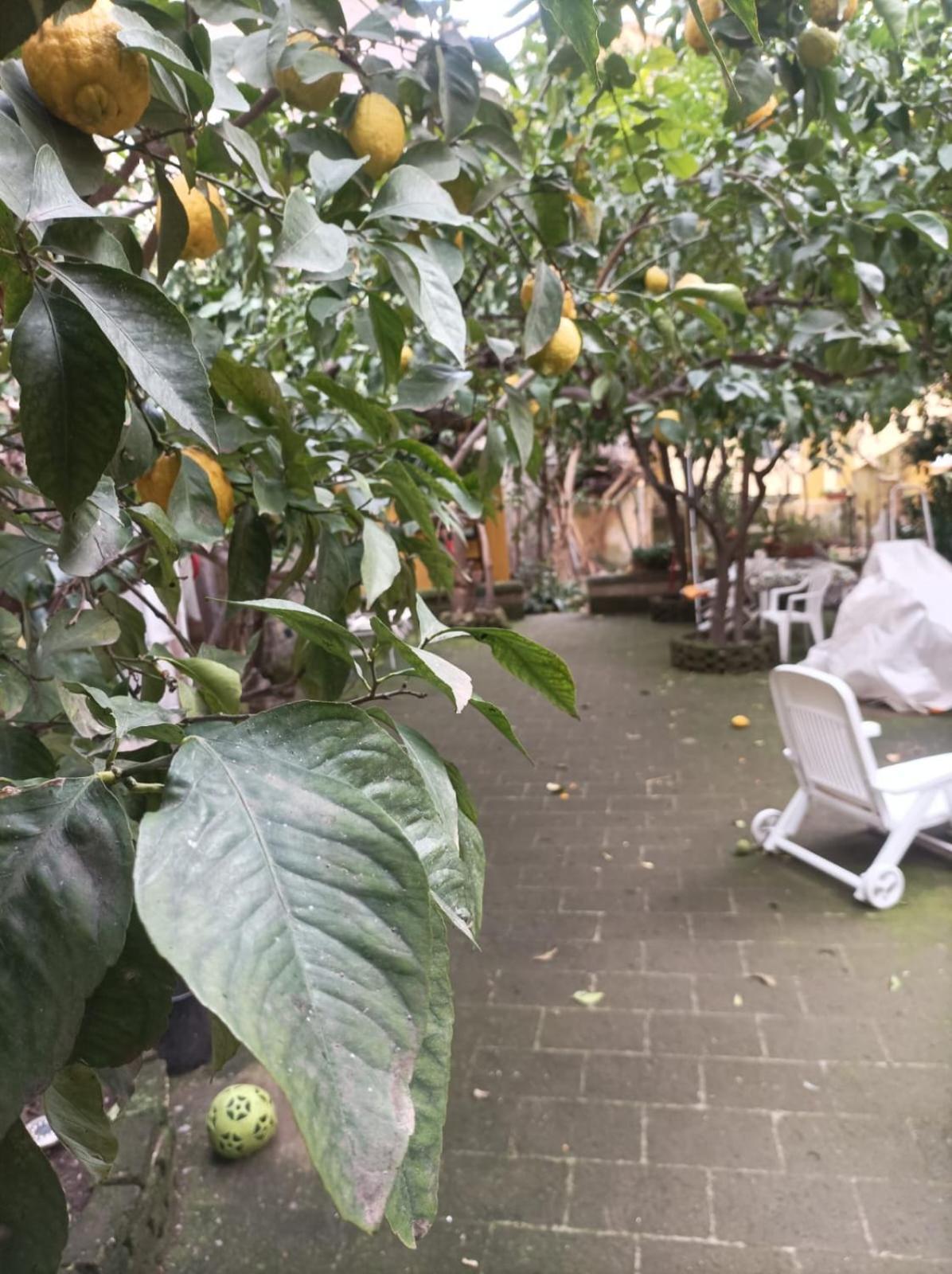 Il Giardino Nascosto * Naples