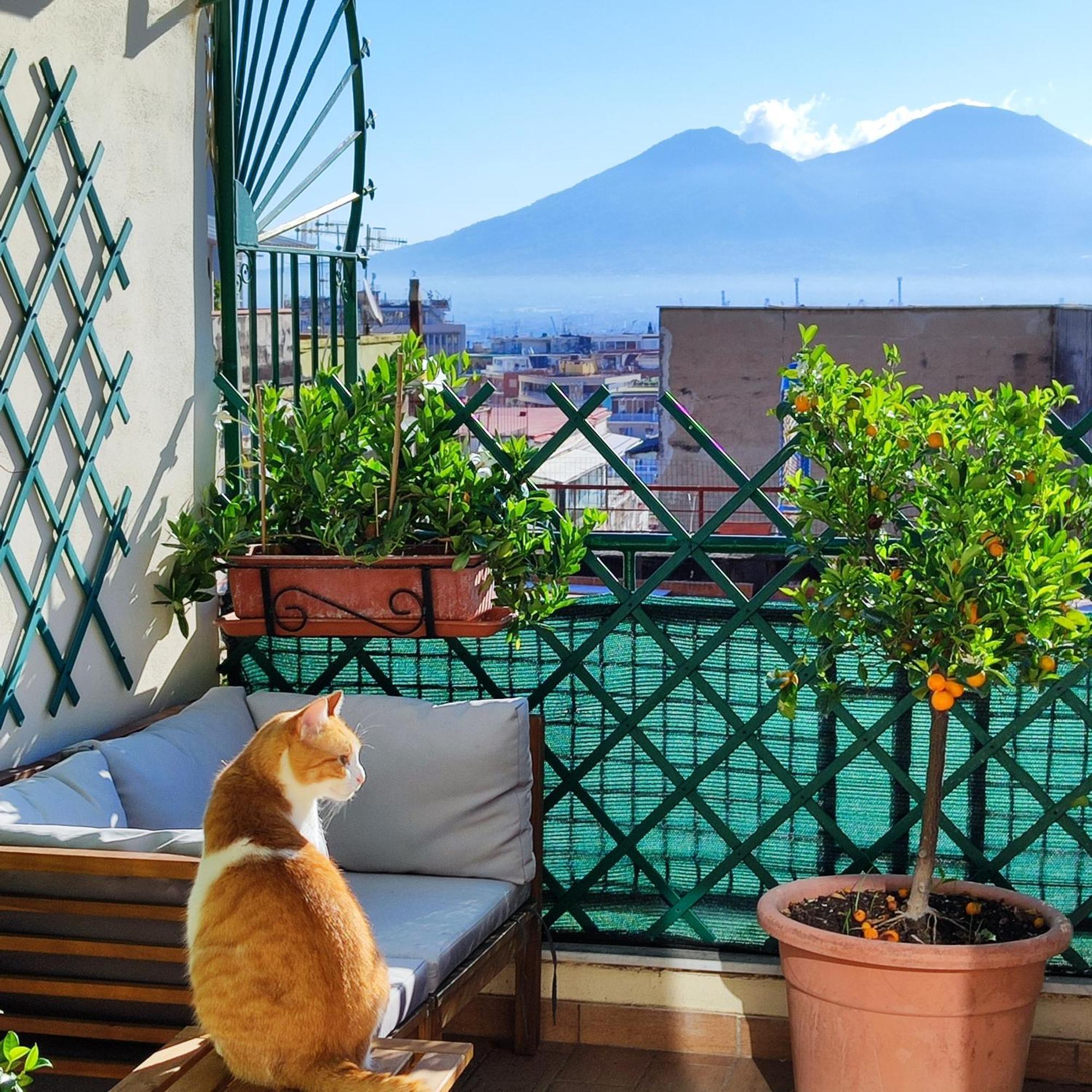 La Casa Blu * Naples