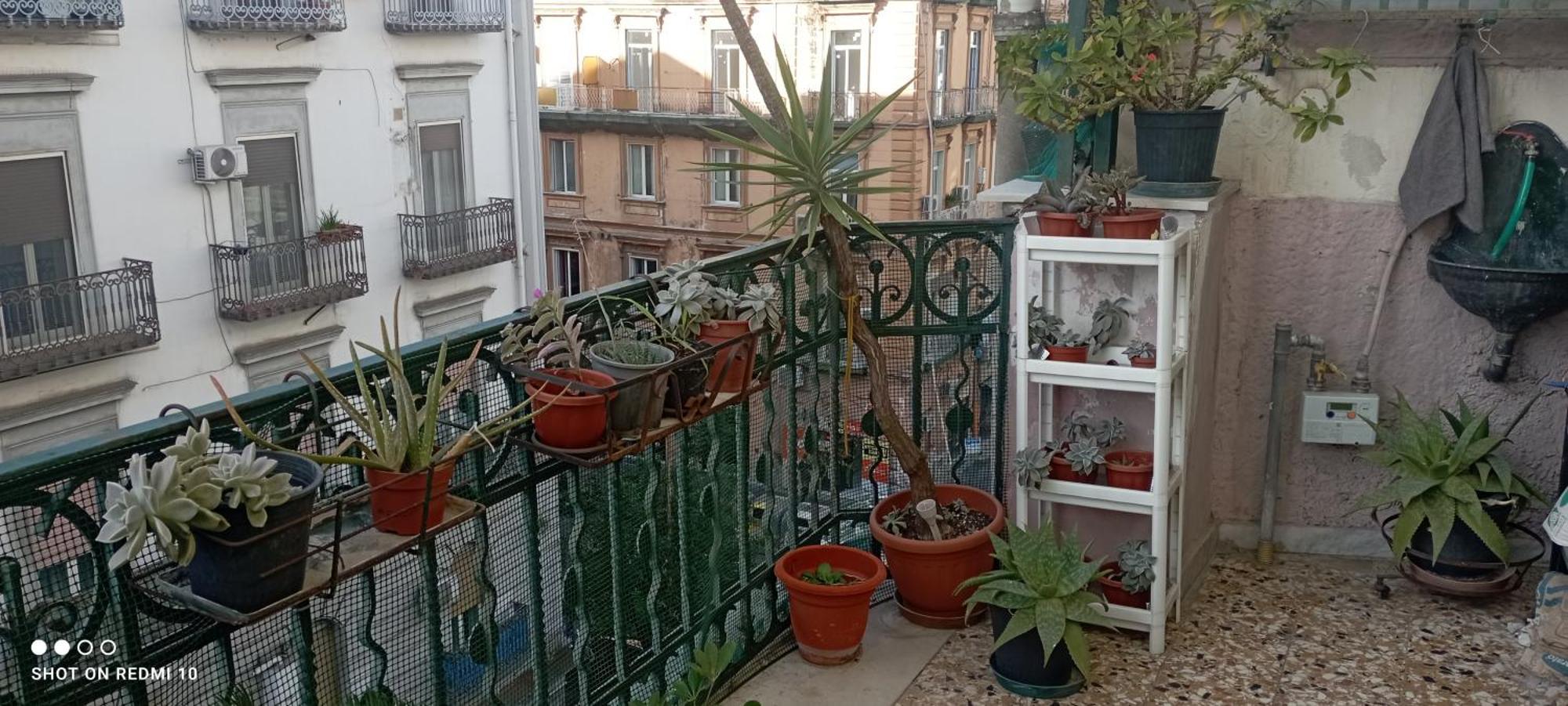 Bed & Breakfast Liberty House *
