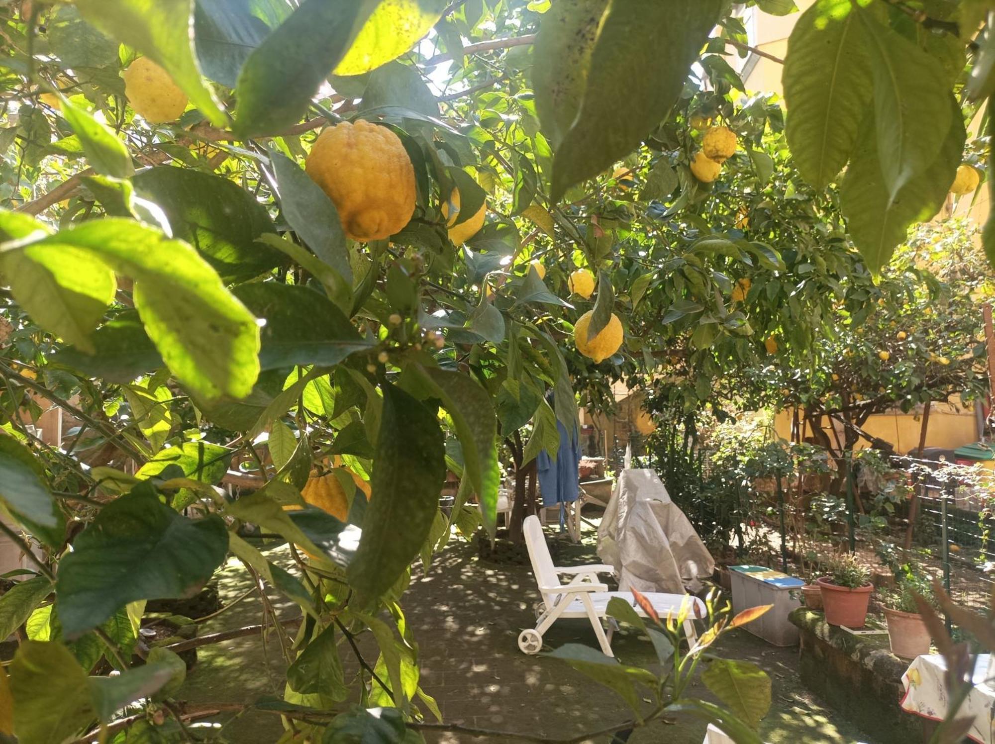 Il Giardino Nascosto Guest house *