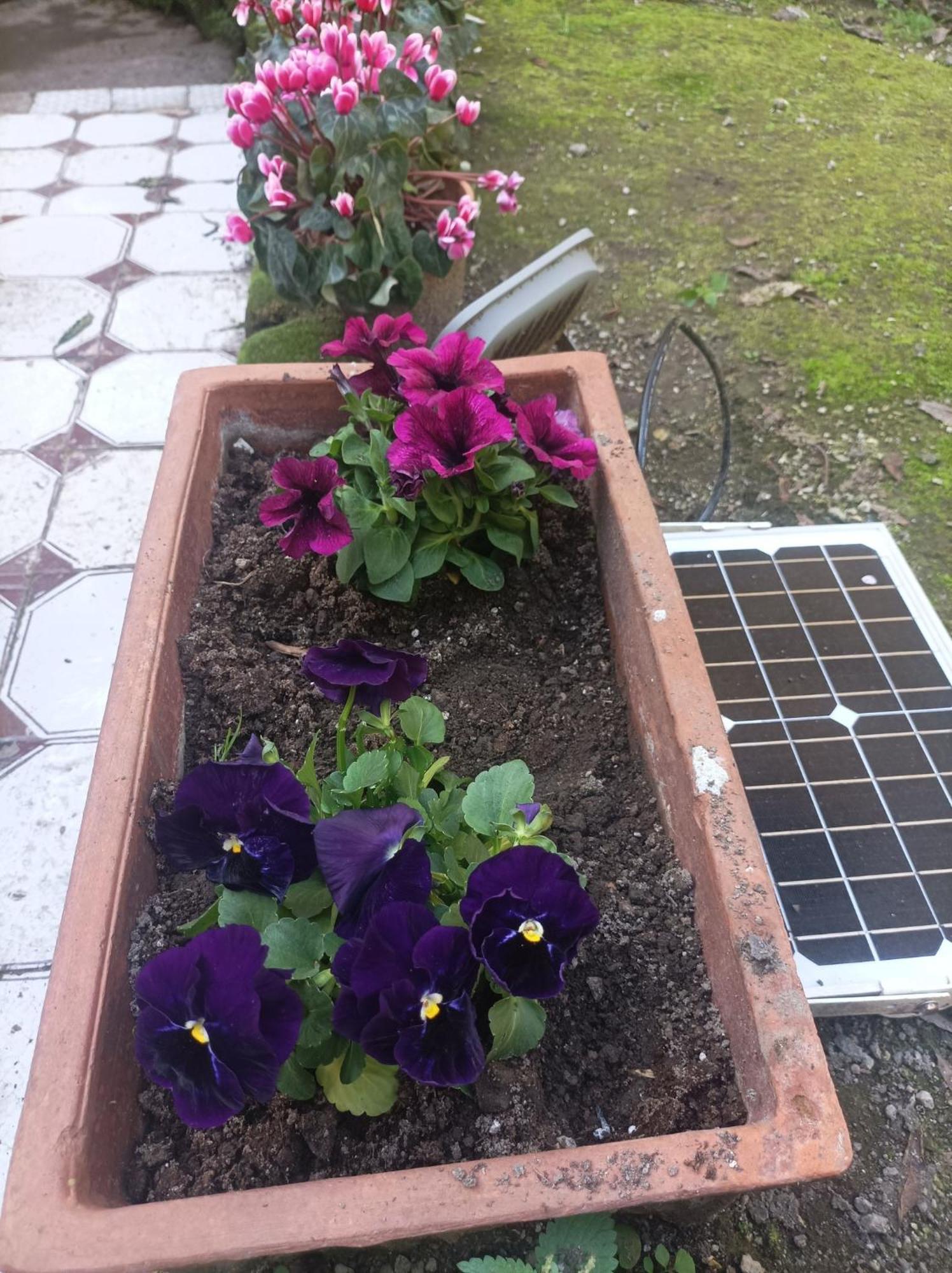 Il Giardino Nascosto *