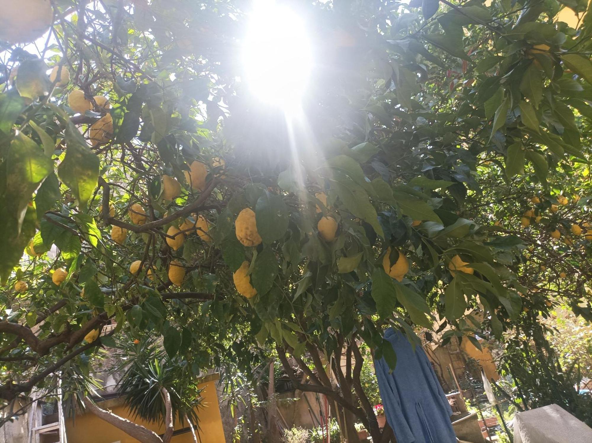 Il Giardino Nascosto Guest house