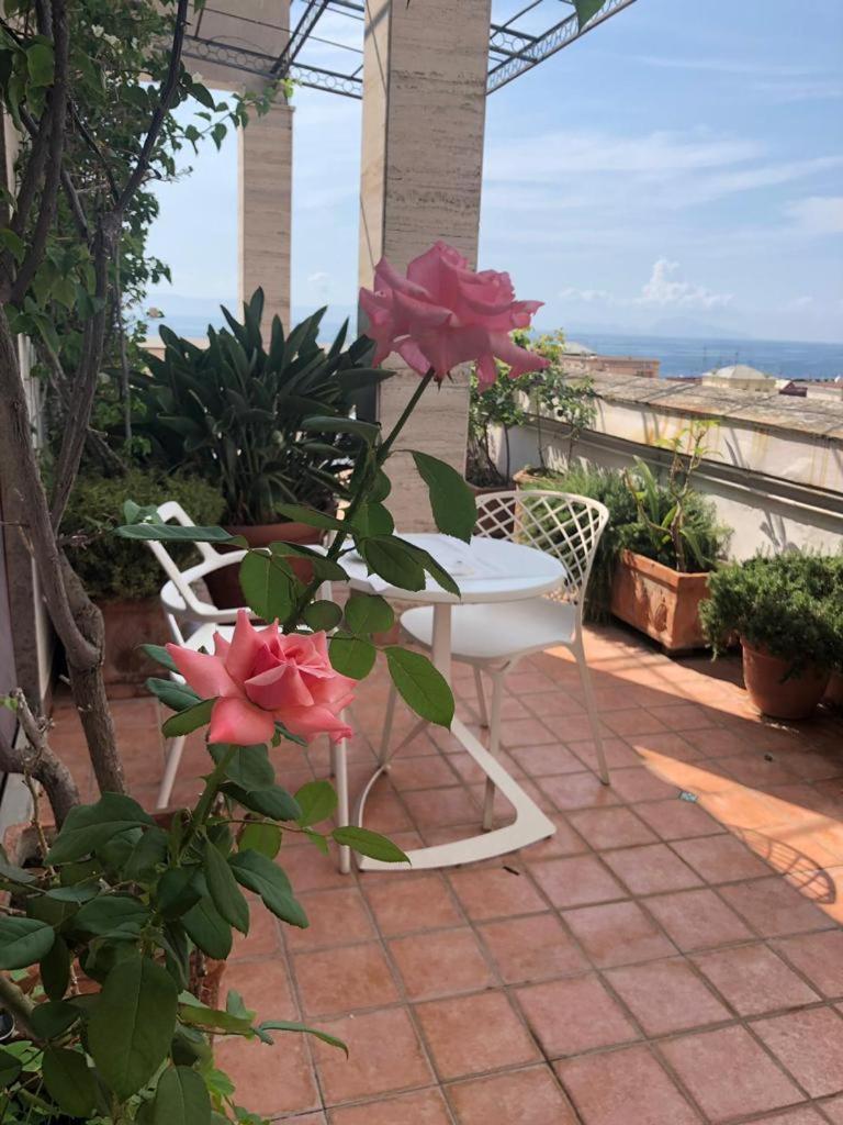 Bed & Breakfast Casamiranapoli 3*