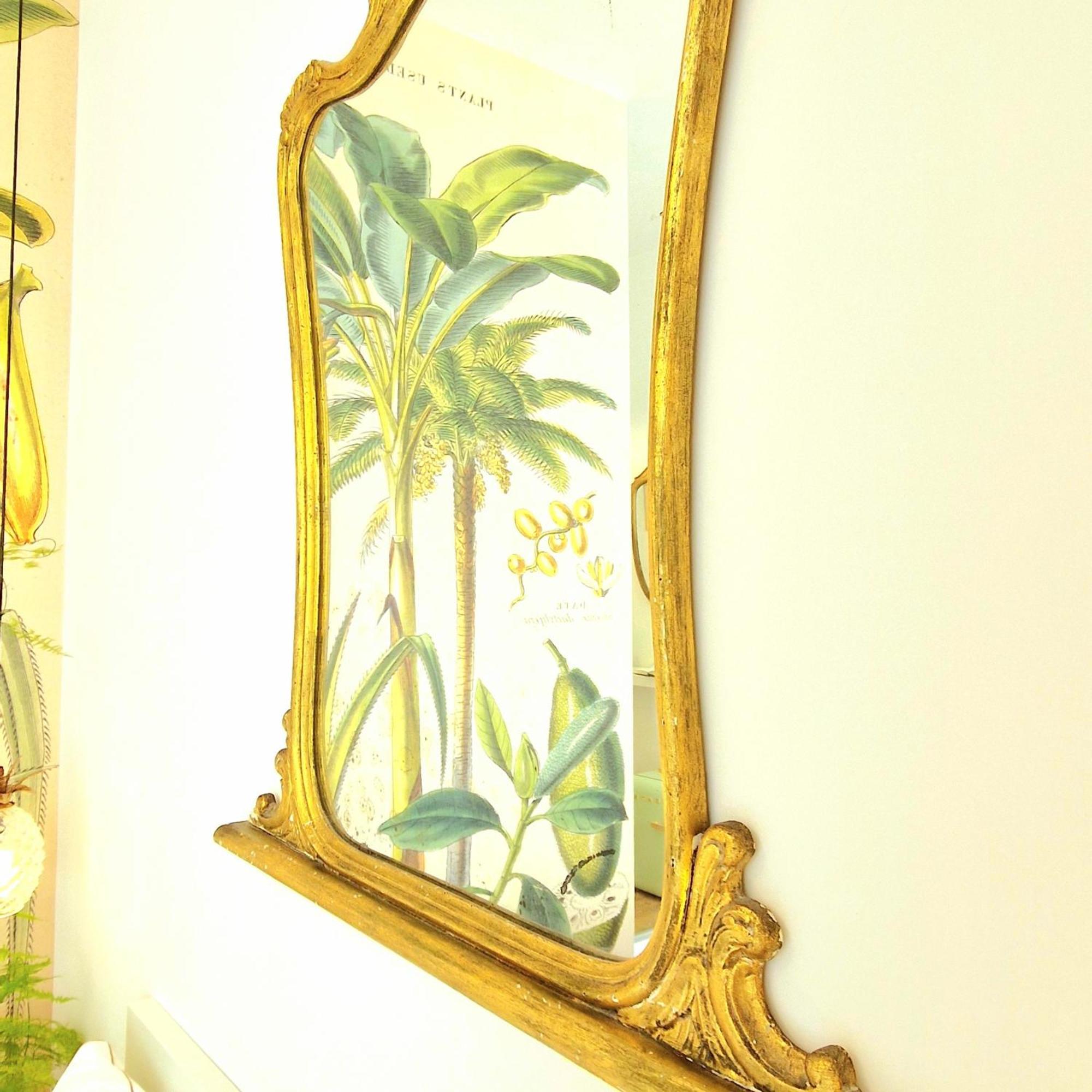 Tree - Lungomare Guest house