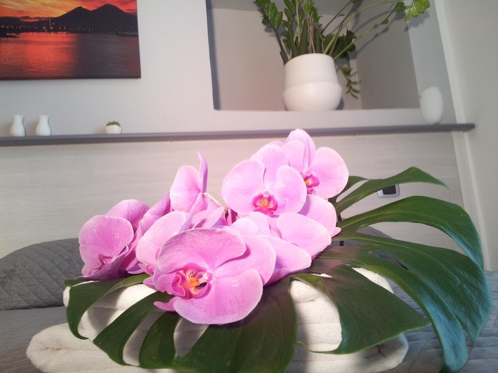 Bed & Breakfast Solimena Naples