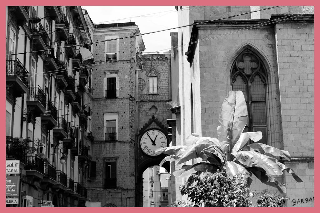 La Storia Di Naples
