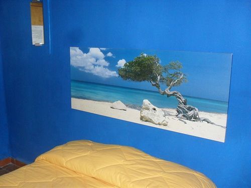 Elia Bed & Breakfast