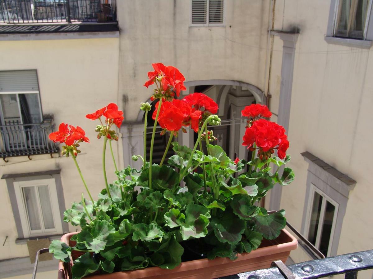 Terrazza Dei Principi Guest house Naples