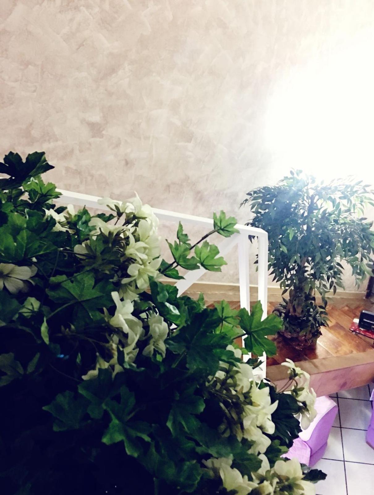 Orchidea By Dimorra Apartment